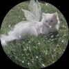 juno_buno